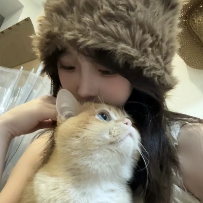 至高指令